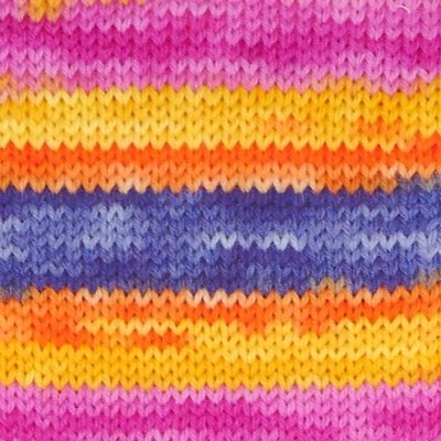 Evolution sock Allsorts
